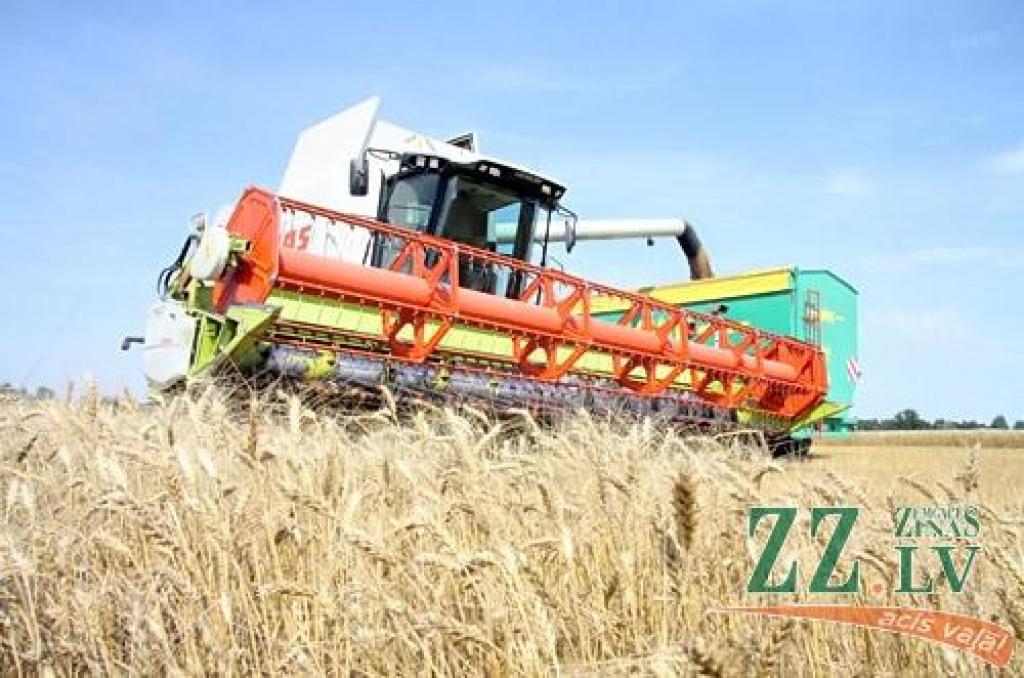 Autors: no ZZ arhīva