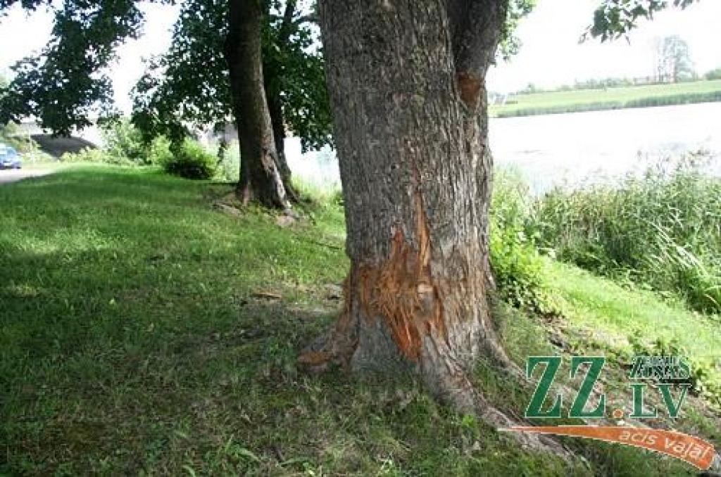 Autors: Agris Samcovs