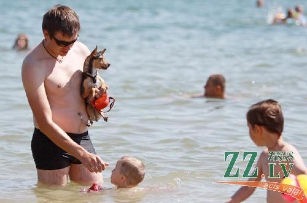 Autors: Armands Lazdiņš