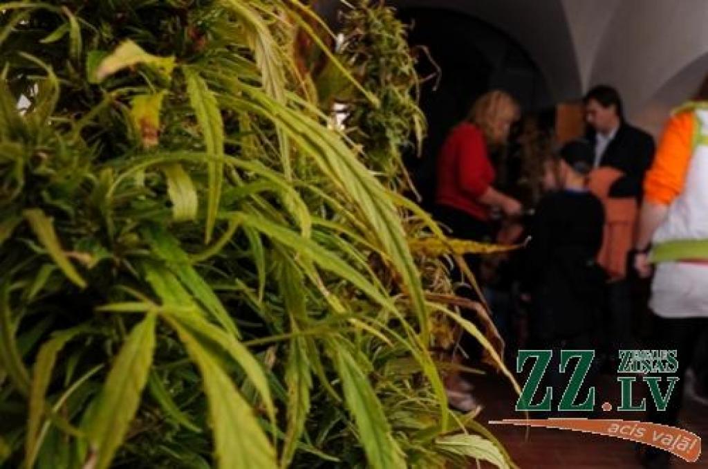 Autors: Ruslans Antropovs, www.rusantro.com