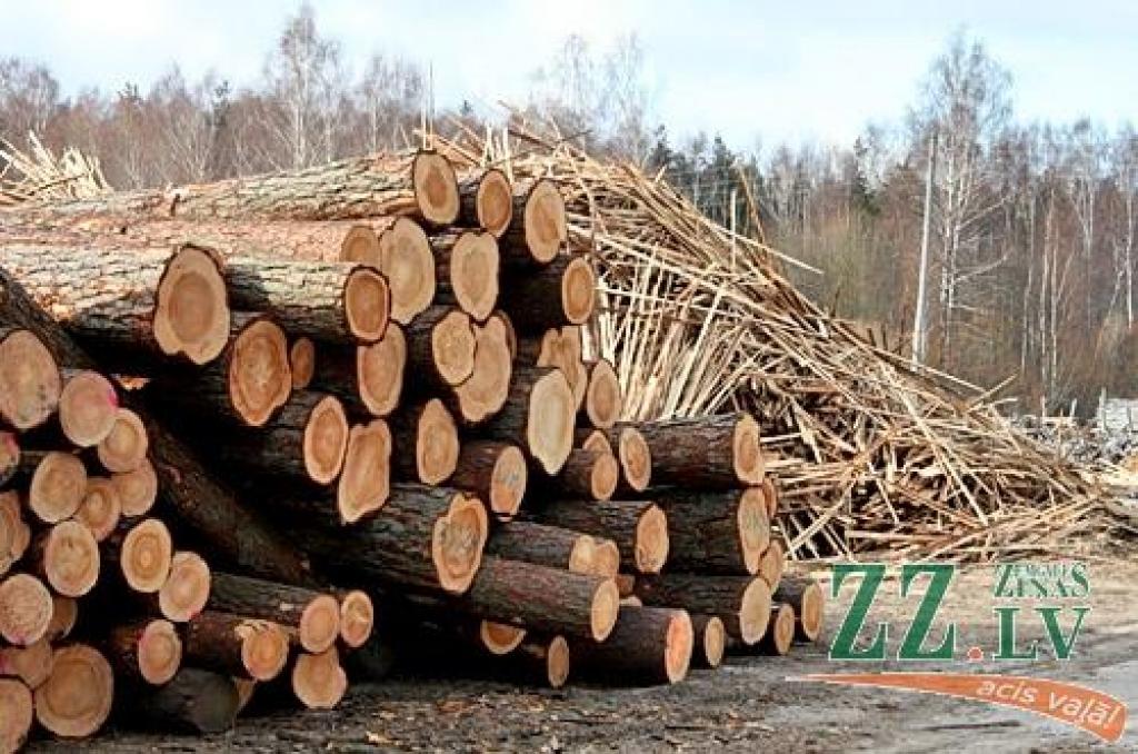 Autors: no ZZ arhīva