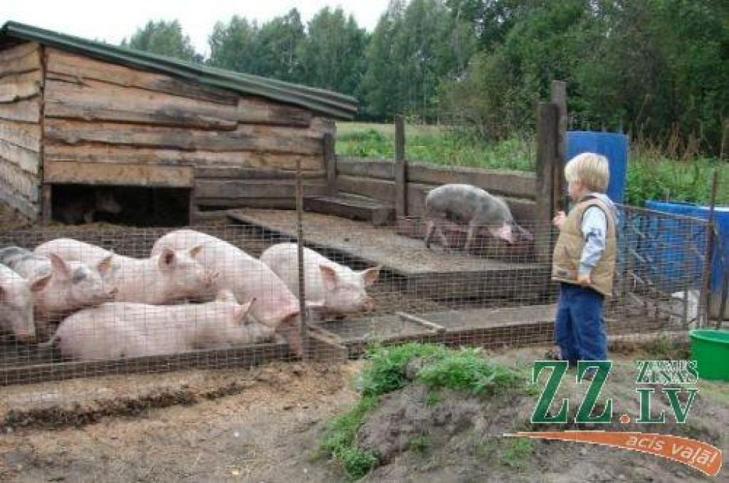 Autors: Ozolnieku novada pašvaldība