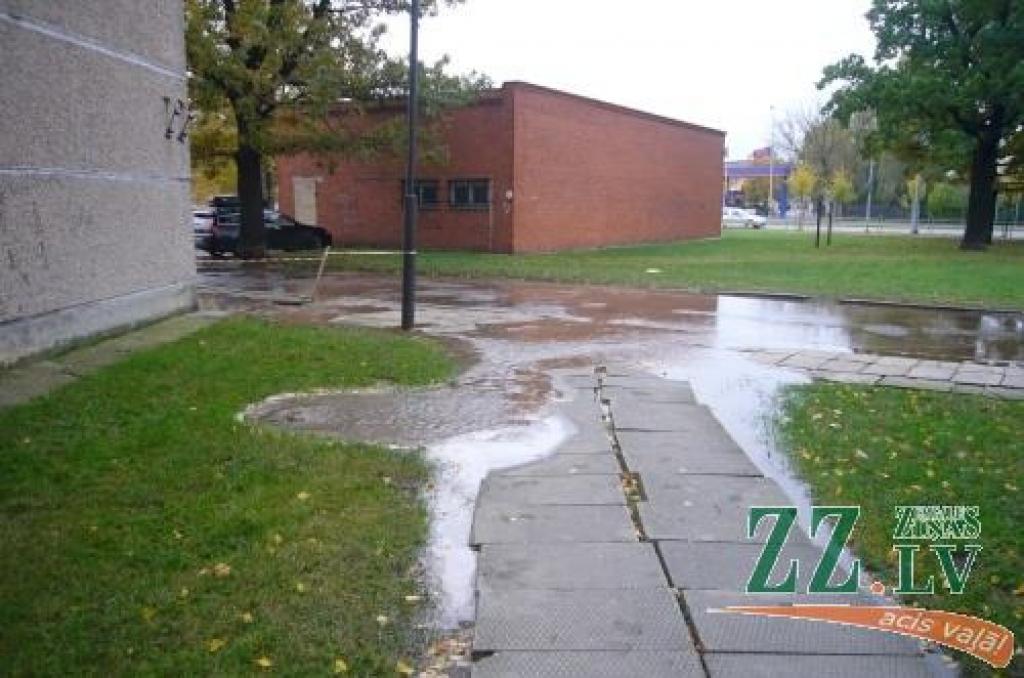 Autors: Vladimirs Saveļjevs