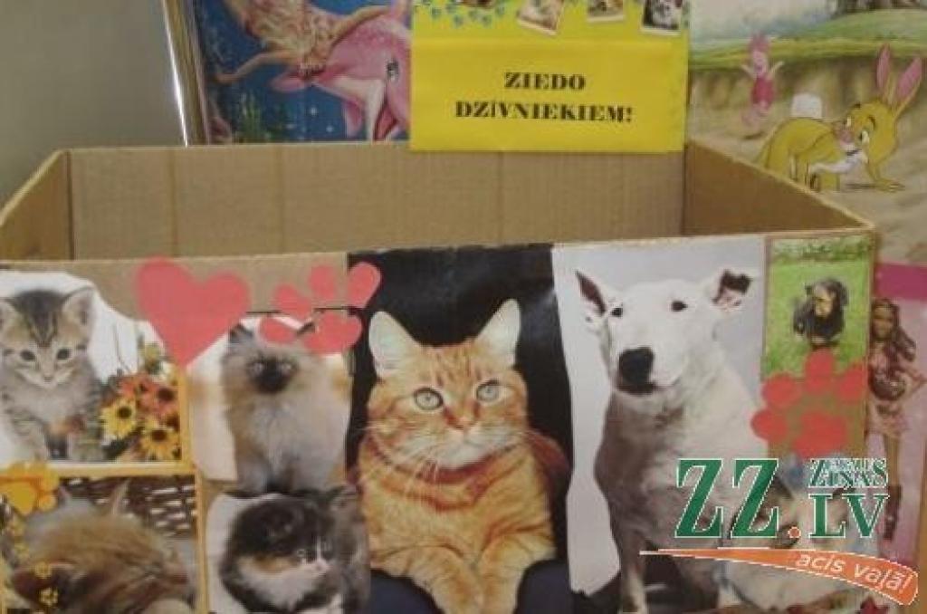 Autors: Ligita Lapiņa, JZB