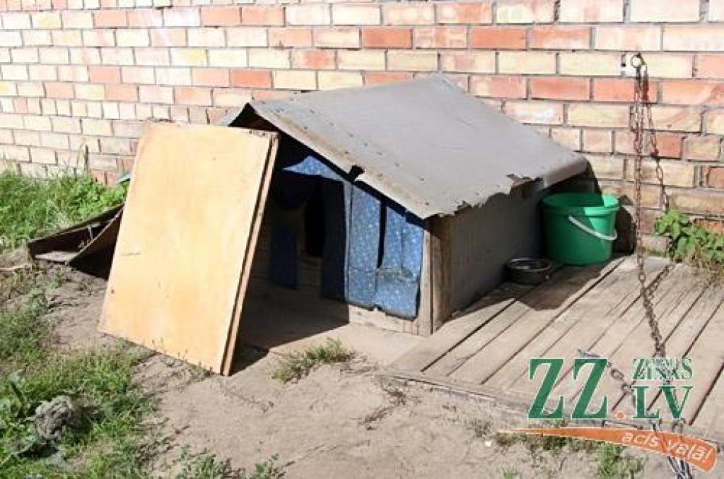 Autors: no ZZ arhīva