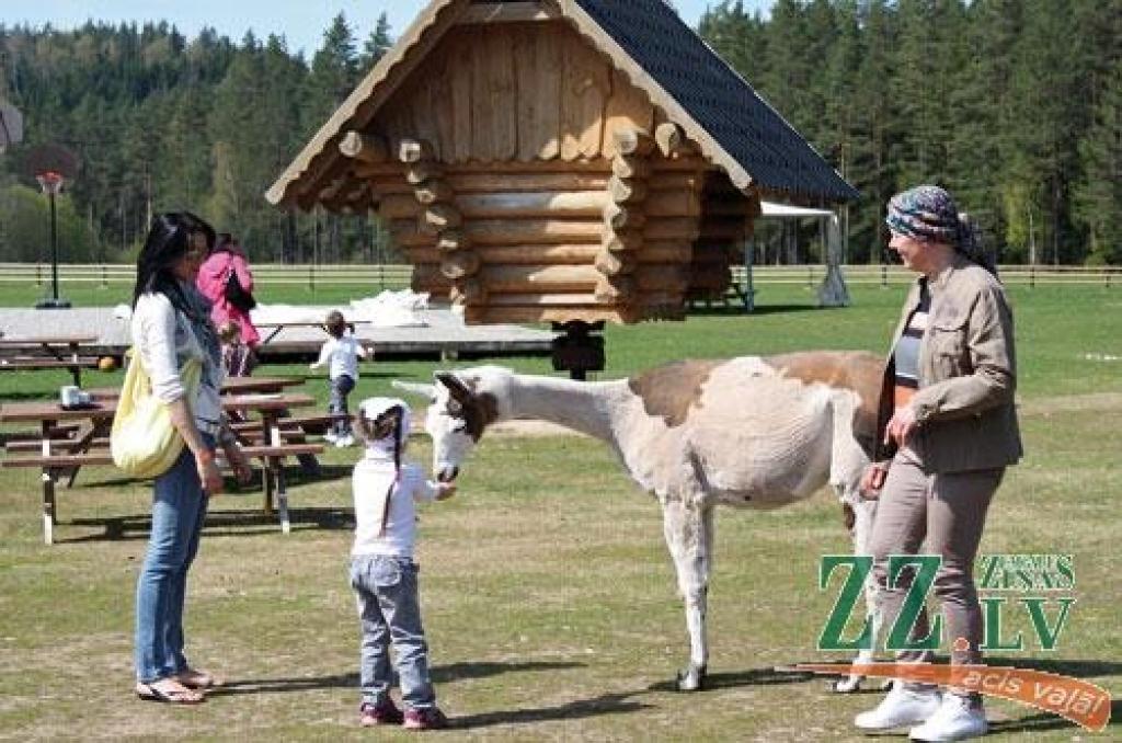 Autors: Pārsla Konrāde