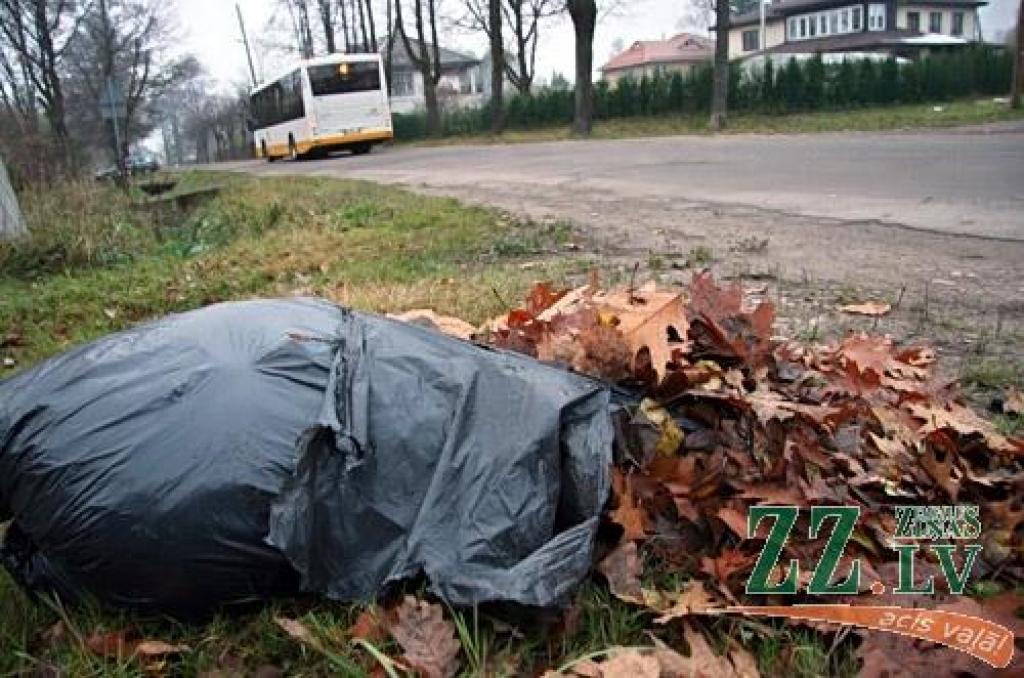 Autors: Agris Samcovs