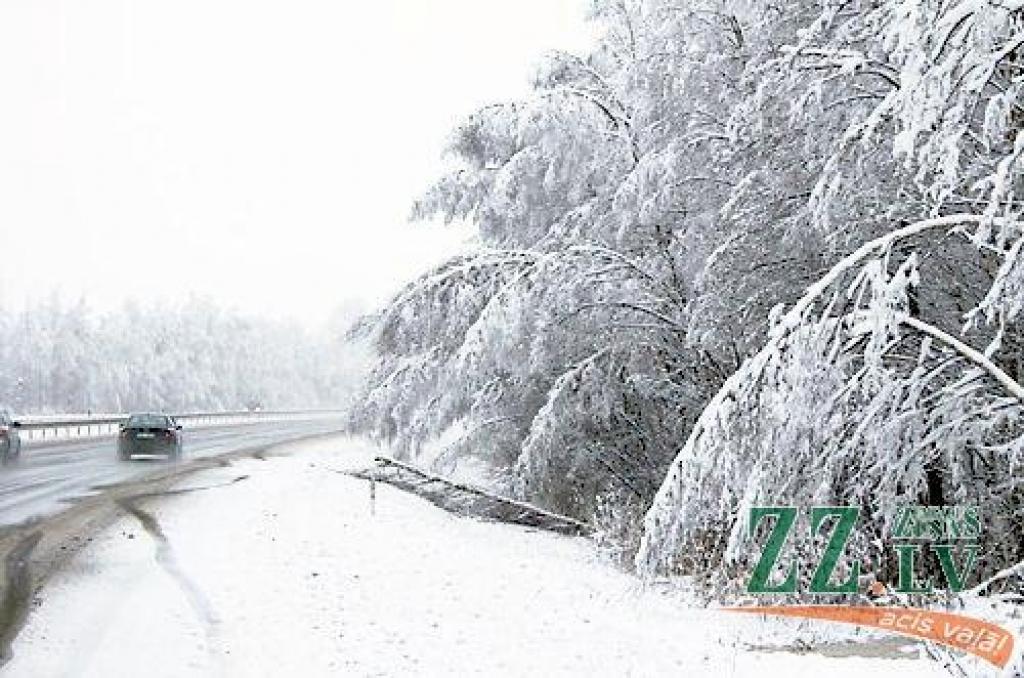 Autors: no ZZ arhīva