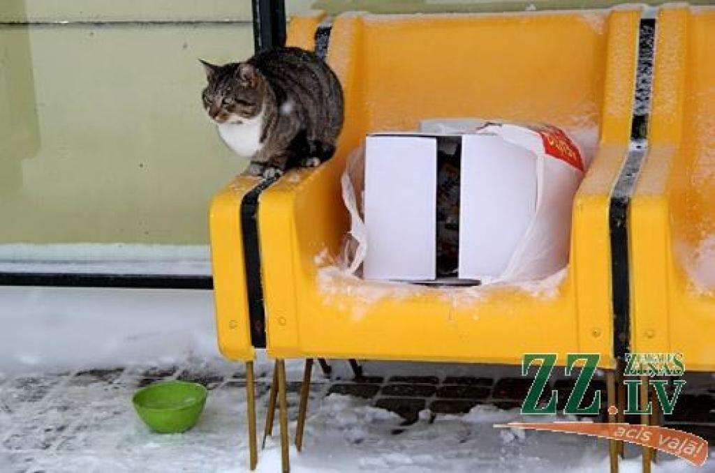 Autors: Agris Samcovs