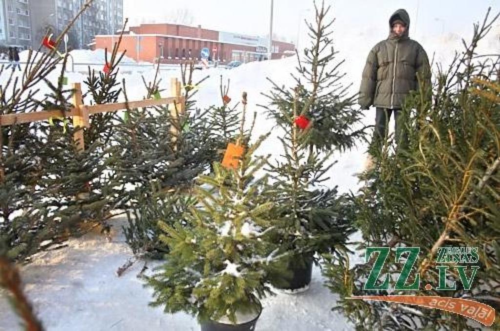 Autors: Agris Samcovs