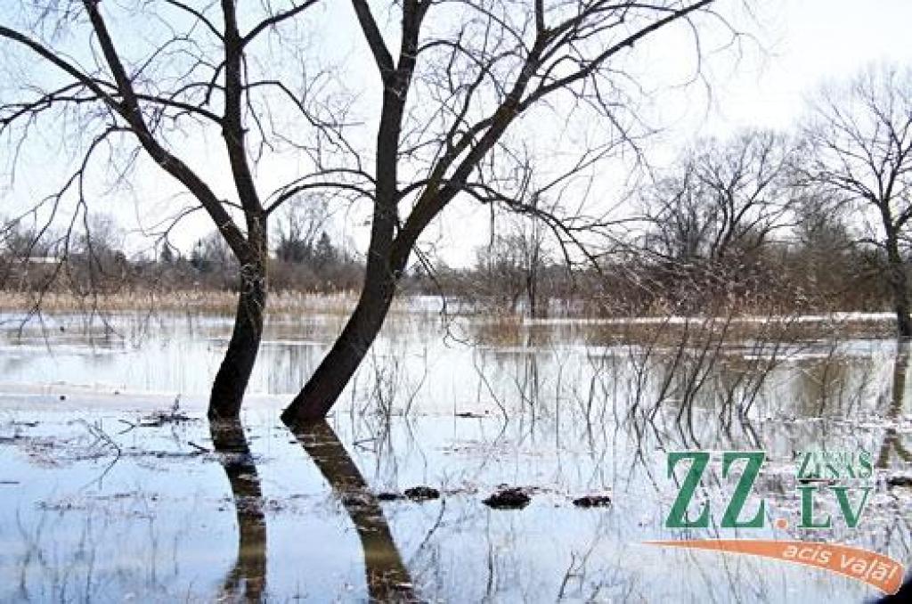 Autors: no ZZ arhīva