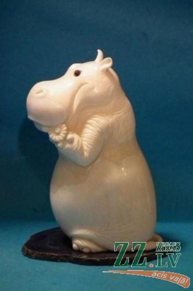 Autors: Publicitātes foto