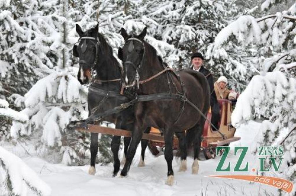 Autors: Raivo Freimanis