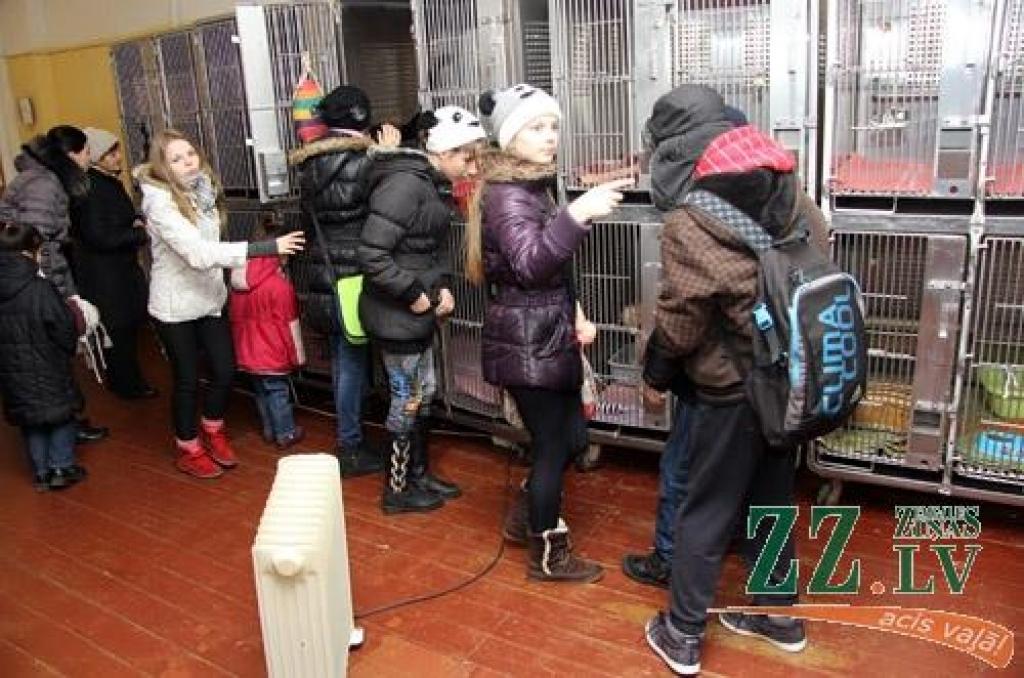 Autors: Agris Samcovs