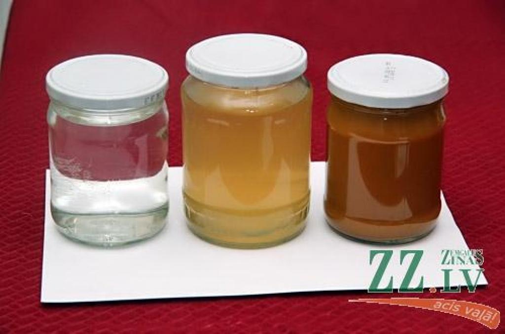 Autors: Agris Samcovs