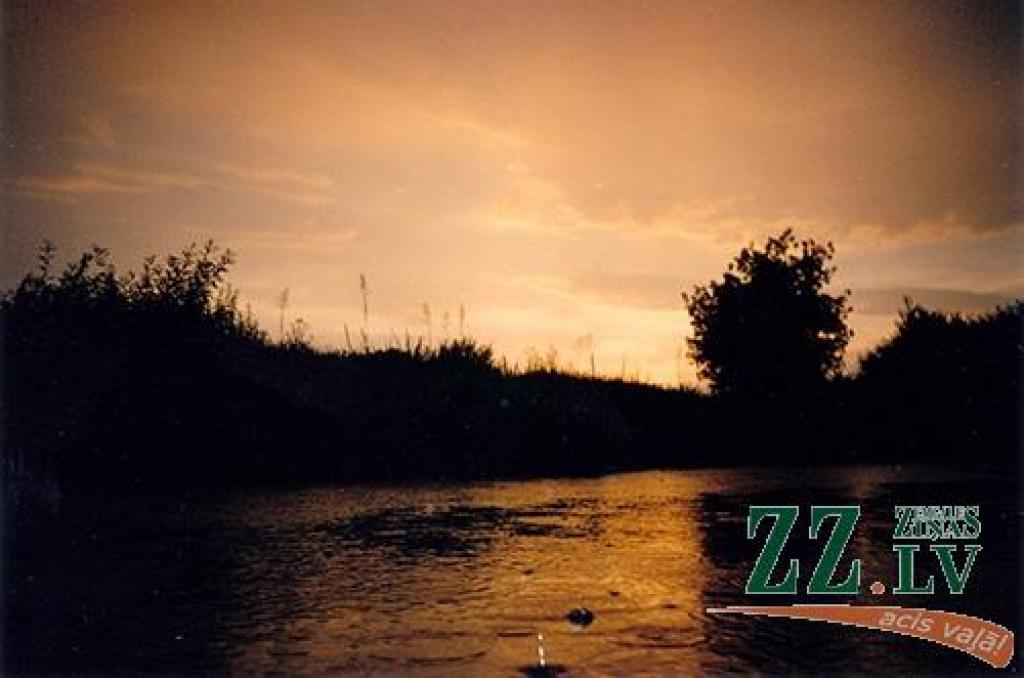 Autors: no ZZ arhīva