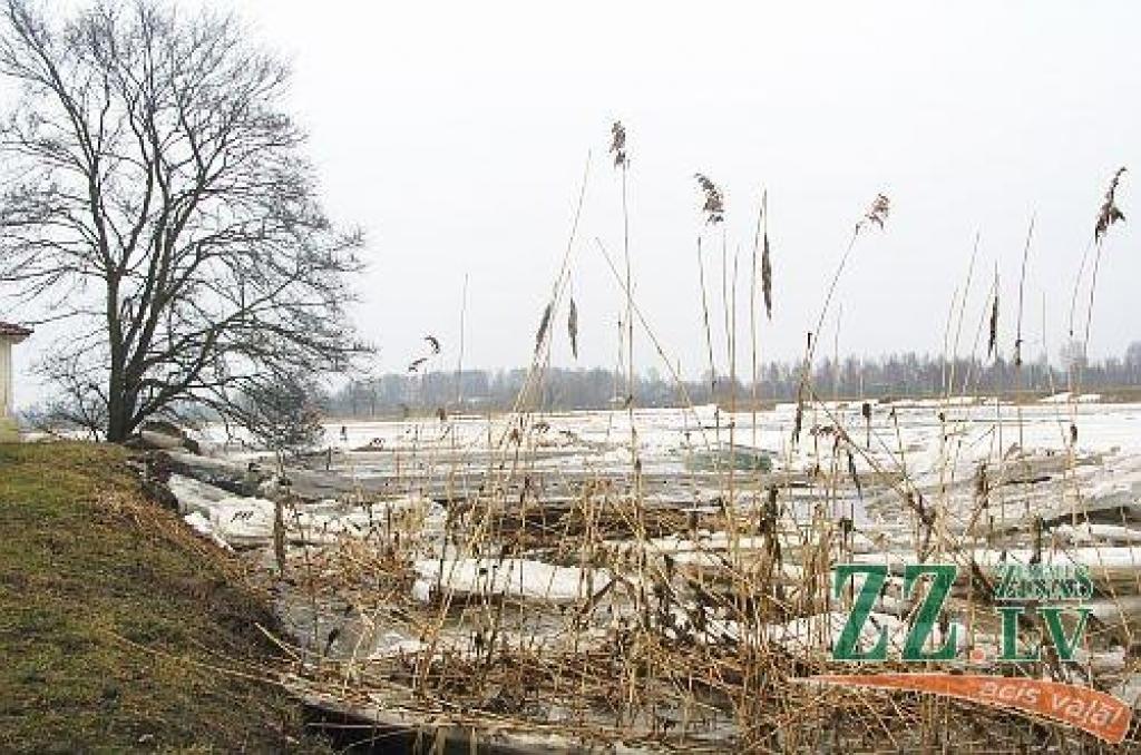 Autors: no ZZ arhīva