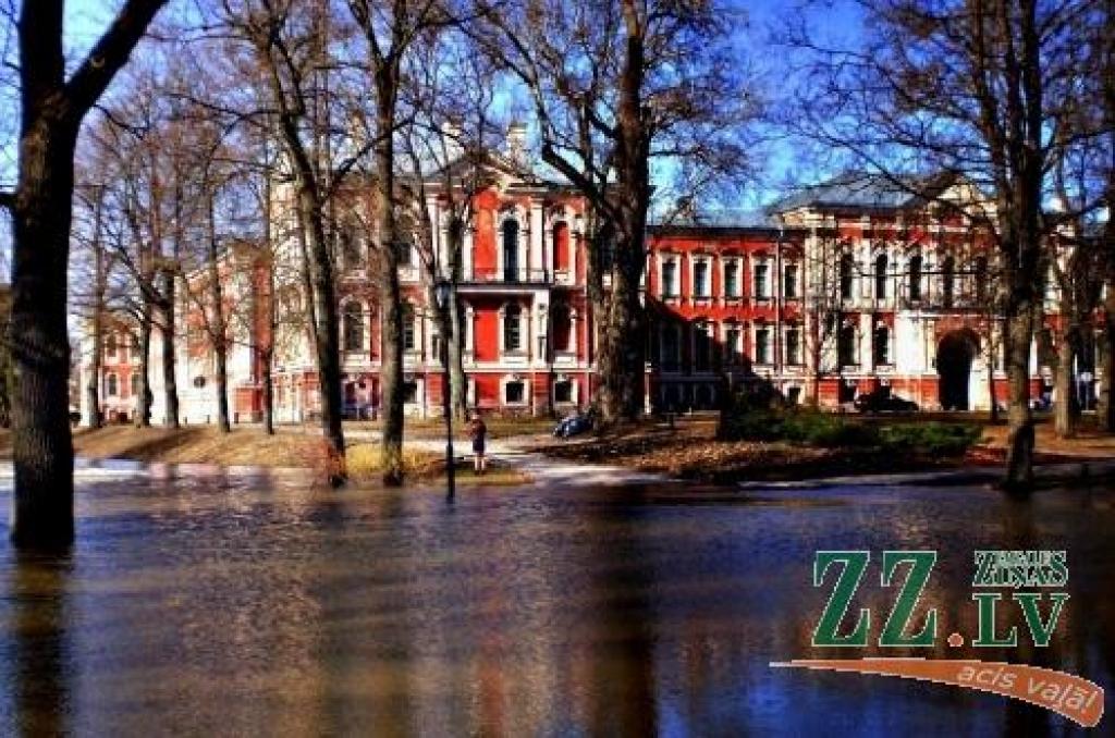 Autors: Zane Pelčere