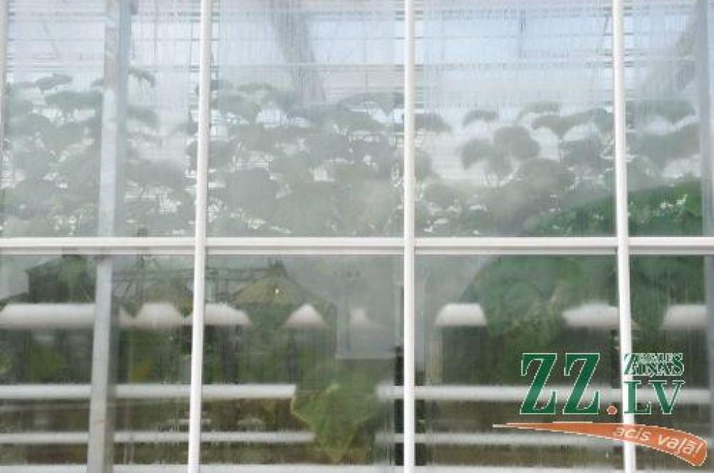 Autors: Ritvars Skuja, «Dienas mediji»