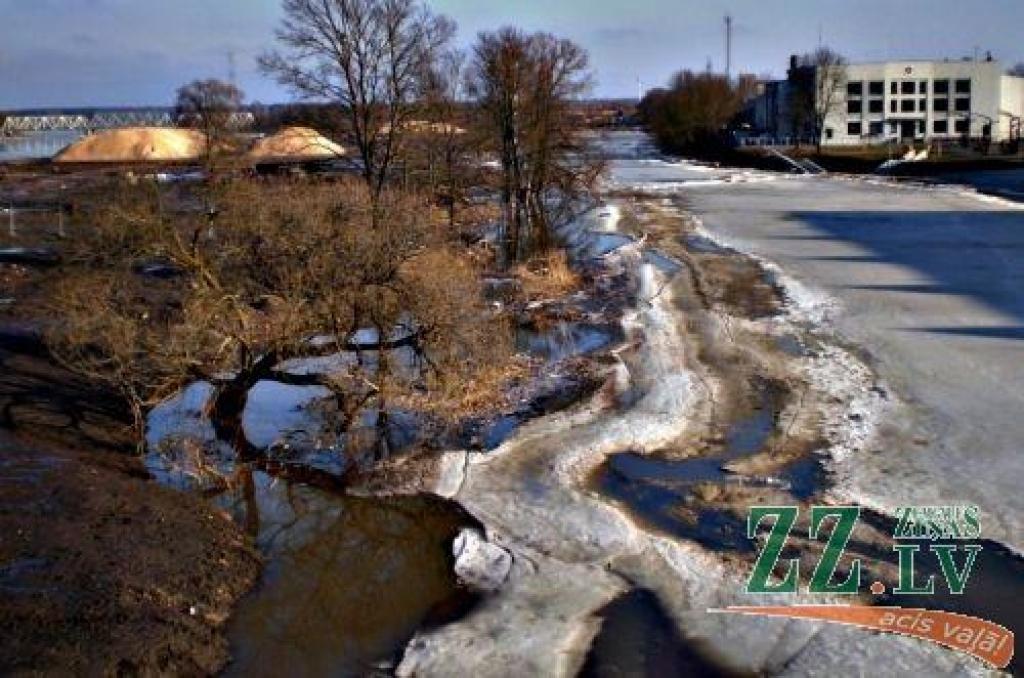 Autors: Zane Pelčere