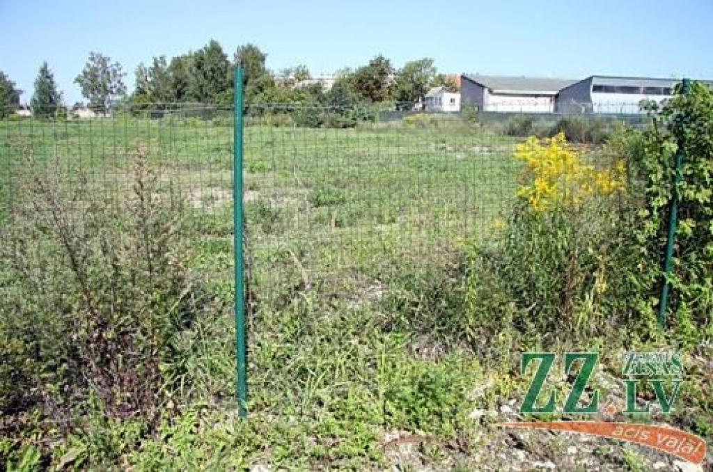 Autors: no ZZ arhīva