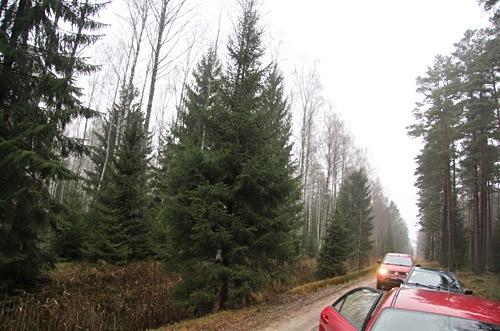 Autors: no ZZ arhīva