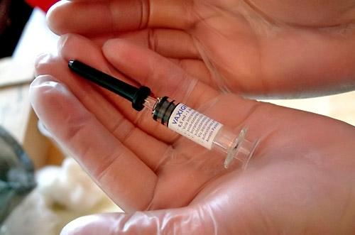 Autors: Agris Samcovs