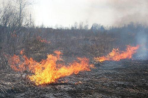 Autors: No ZZ arhīva