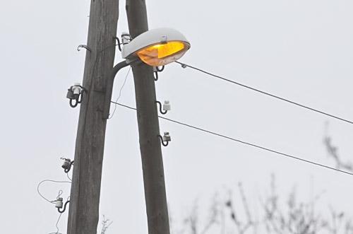 Autors: no ZZ arhīva