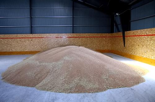 Autors: no ZZ arhīva