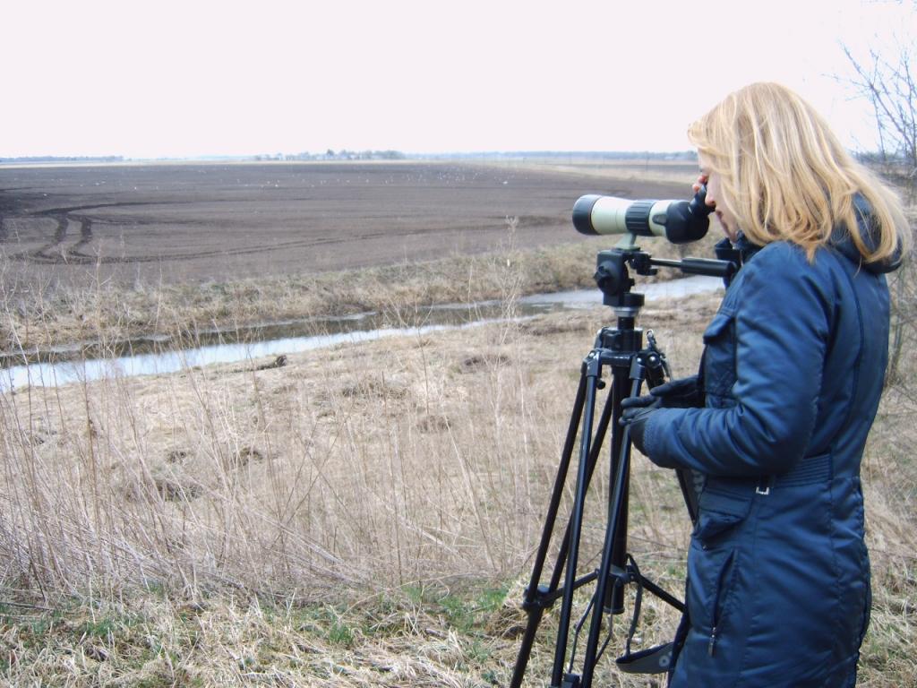 Autors: Publicitātes foto