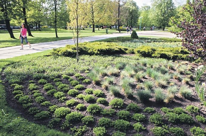 Autors: Agris Samcovs