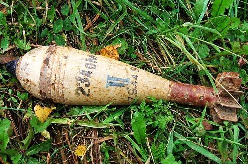 Attēlam ir ilustratīva nozīme.
Autors: No ZZ arhīva