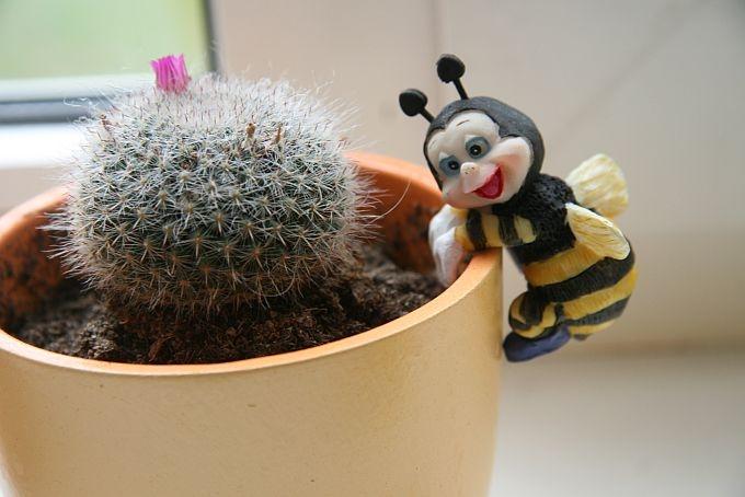 Autors: Agris Samcovs