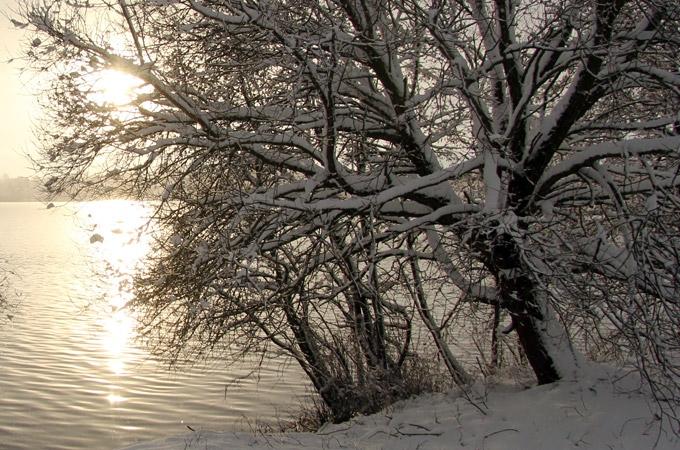 Autors: Agris Samcovs