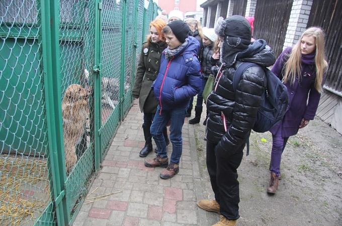 Aluksniesiem.lv raksta attēla aizvietotājs