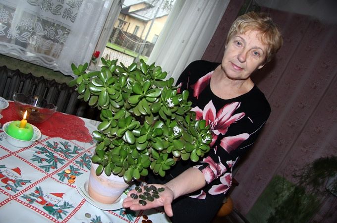 Autors: Agris Samcovs