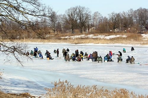 Autors: Agris Samcovs, no arhīva