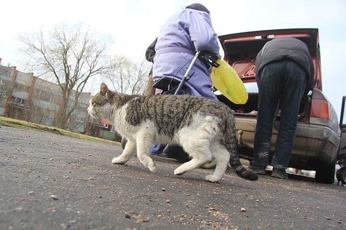 Autors: Agris Samcovs