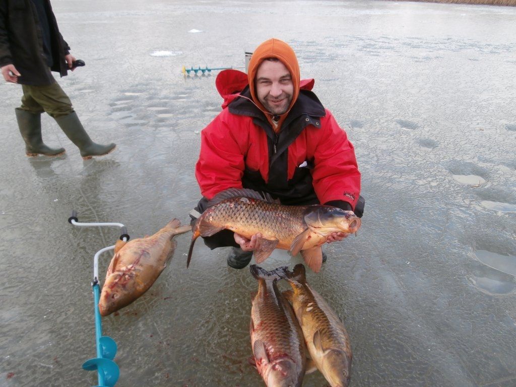 Autors: no mammadaba.lv