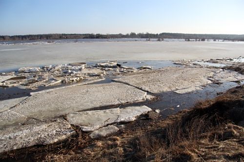 Attēlam ir ilustratīva nozīme.
Autors: Agris Samcovs