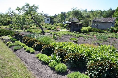 Autors: Agris Samcovs