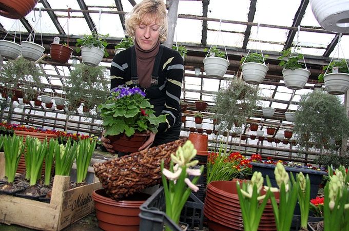 Autors: Agris Samcovs