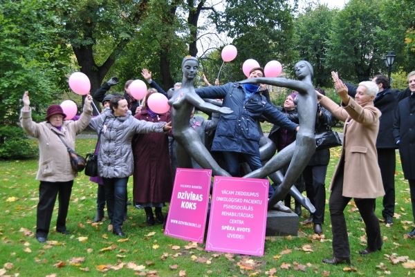 Autors: no dzivibaskoks.lv