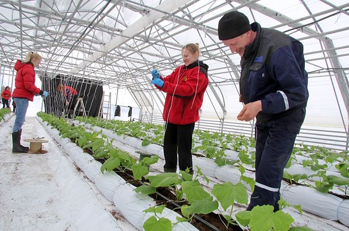 Autors: Agris Samcovs