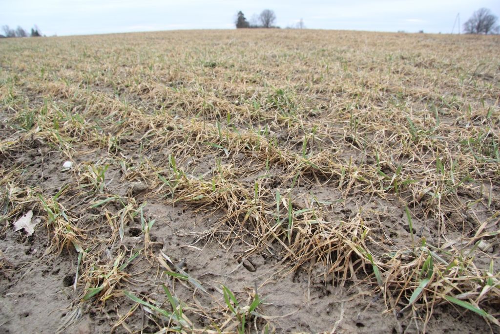 Autors: Agris Samcovs