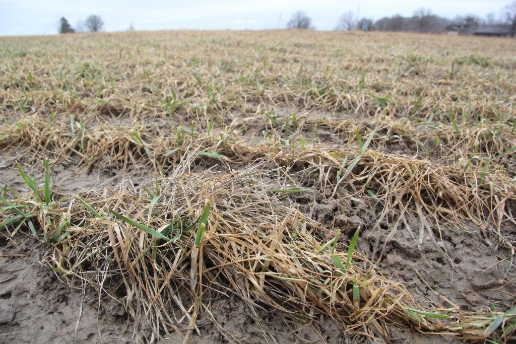 Autors: Agris Samcovs