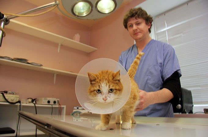 Autors: Agris Samcovs