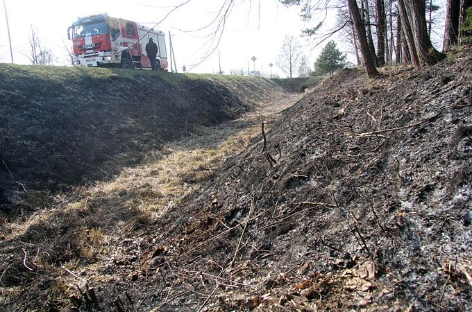 Attēlam ilustratīva nozīme
Autors: Agris Samcovs