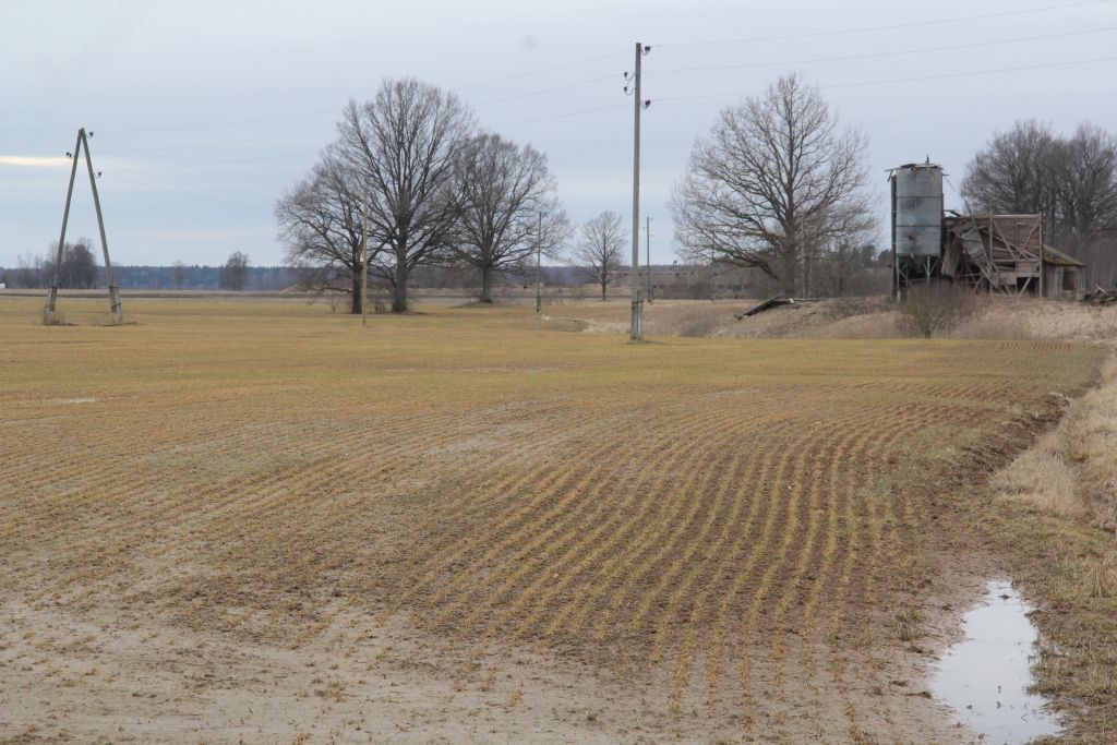 Autors: Agris Samcovs